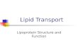 Lipid Transport Lipoprotein Structure and Function