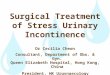 Surgical Treatment of Stress Urinary Incontinence Dr Cecilia Cheon Consultant, Department of Obs. & Gyn. Queen Elizabeth Hospital, Hong Kong, China President,