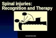 Ian Scott Feb 6 2002 Spinal injuries: Recognition and Therapy