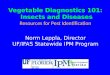 Vegetable Diagnostics 101: Insects and Diseases Insects and Diseases Resources for Pest Identification Norm Leppla, Director UF/IFAS Statewide IPM Program