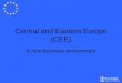 Central and Eastern Europe (CEE) A new business environment