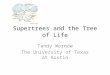 Supertrees and the Tree of Life Tandy Warnow The University of Texas at Austin