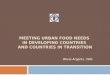 MEETING URBAN FOOD NEEDS IN DEVELOPING COUNTRIES AND COUNTRIES IN TRANSITION Olivio Argenti, FAO