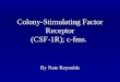Colony-Stimulating Factor Receptor (CSF-1R); c-fms. By Nate Reynolds