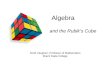 Algebra and the Rubik’s Cube Scott Vaughen, Professor of Mathematics Miami Dade College