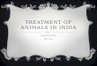 TREATMENT OF ANIMALS IN INDIA By Savina Singh WLC-212
