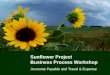 Sunflower Project Business Process Workshop Accounts Payable and Travel & Expense