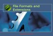 File Formats and Extensions © Copyright William Rowan 2007