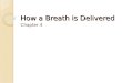 How a Breath is Delivered Chapter 4. Method of breath delivery: What energy is required to deliver the breath and is this energy provided by the ventilator