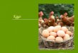 Eggs © PDST Home Economics. EGGS ARE…….  A cheap protein food  Versatile  Cooked quickly  Suitable for all ages