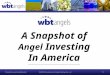 A Snapshot of Angel Investing In America -------------------------------------------------------------------- 1