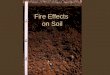 Fire Effects on Soil. What are the Functions of Soil within Ecosystems? Provides a medium for plant growth and supplies nutrients Regulates the hydrologic