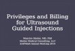 Privileges and Billing for Ultrasound Guided Injections Maurice Sholas, MD, PhD Sholas Medical Consulting, LLC AAPM&R Annual Meeting 2014
