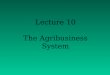 Lecture 10 The Agribusiness System. Objectives The “agribusiness system” approach to marketing Size and scope of agribusiness Various sectors Marketing
