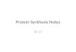 Protein Synthesis Notes Ch 17 Central Dogma DNA RNA Protein