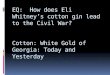 EQ: How does Eli Whitney’s cotton gin lead to the Civil War? Cotton: White Gold of Georgia: Today and Yesterday