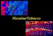 Nicotine/Tobacco. Tobacco Overview Leaves of Nicotiana tobacum cured and (usually) smoked Indigenous to North America Smoked by natives for medicinal,