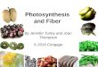 Photosynthesis and Fiber By Jennifer Turley and Joan Thompson © 2016 Cengage