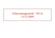 Gluconeogenesis / TCA 11/12/2009 Gluconeogenesis Gluconeogenesis is the process whereby precursors such as lactate, pyruvate, glycerol, and amino acids