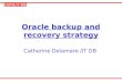 CERN/IT/DB Oracle backup and recovery strategy Catherine Delamare /IT DB