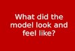 What did the model look and feel like?. Why are there only a few white blood cells?