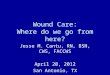 Wound Care: Where do we go from here? Jesse M. Cantu, RN, BSN, CWS, FACCWS April 20, 2012 San Antonio, TX