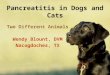 Pancreatitis in Dogs and Cats Two Different Animals Wendy Blount, DVM Nacogdoches, TX