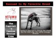 The Capital’s Canine Rescue Crew. Adoption Coordinator – Andrea Valois Intake Coordinator – Wendy Bolf Foster Coordinator – Susan Cianci Events Coordinator