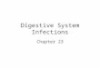 Digestive System Infections Chapter 23. –Gastrointestinal tract (GI tract) Digests food, absorbs nutrients and water into blood, and eliminates waste