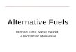 Alternative Fuels Michael Fink, Steve Haidet, & Mohamad Mohamad