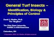 General Turf Insects – Identification, Biology & Principles of Control David J. Shetlar, Ph.D. The “BugDoc” The Ohio State University, OARDC & OSU Extension