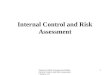 Financial Audit Autonomous Bodies Internal Control and Risk Assessment Session 1.8 1 Internal Control and Risk Assessment