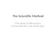 The Scientific Method (The snows of Kilimanjaro, immaculate fish, and whale legs)