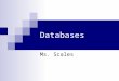 Databases Ms. Scales. What is a Database? Database  A collection of data organized for fast search and retrieval  Examples: Telephone Directories Hospital