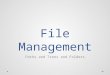 File Management Paths and Trees and Folders 1. Outline File Basics o File Names, Extensions o Directories, Folders, and Paths o File Formats File Management