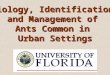 Biology, Identification and Management of Ants Common in Urban Settings