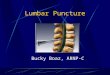 Lumbar Puncture Bucky Boaz, ARNP-C. CSF Formation 140 ml spinal and cranial CSF 30 ml in the spinal cord Production is approx. 0.35 ml/min Net flow out