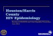 Houston/Harris County HIV Epidemiology Bureau of HIV/STD and Viral Hepatitis Prevention June 2013
