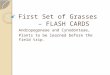First Set of Grasses – FLASH CARDS Andropogoneae and Cynodonteae, Plants to be learned before the field trip