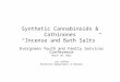 Synthetic Cannabinoids & Cathinones “Incense and Bath Salts” Evergreen Youth and Family Services Conference March 29, 2012 Jay Jaffee Minnesota Department