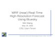 Mesoscale & Microscale Meteorological Division / ESSL / NCAR WRF (near) Real-Time High-Resolution Forecast Using Bluesky Wei Wang May 19, 2005 CISL User