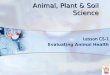 Animal, Plant & Soil Science Lesson C5-1 Evaluating Animal Health