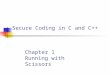 Secure Coding in C and C++ Chapter 1 Running with Scissors