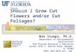 Should I Grow Cut Flowers and/or Cut Foliages? Bob Stamps, Ph.D. Department of Environmental Horticulture Mid-Florida Research & Education Center 2725
