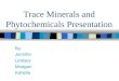 Trace Minerals and Phytochemicals Presentation By: Jennifer Lindsey Meagan Kahelia