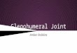 Glenohumeral Joint Amber Robbins. Classification ● Synovial, Diarthrodial joint ➔ Movable ➔ Ends of long bones ➔ Articular capsule ➔ Synovial Membrane