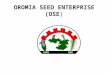 OROMIA SEED ENTERPRISE (OSE). An over view of OSE -OSE was established by Oromia Regional State Regulation No- 108/2008 -OBJECTIVES: - To reduce the gap