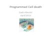 Programmed Cell death Saeb Aliwaini April/2013. Introduction Human Body makes 10 billion cells every day. Cell death makes balance : There are various