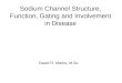 Sodium Channel Structure, Function, Gating and Involvement in Disease David R. Marks, M.Sc