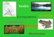 Ecosystems Tundra Swamps Ocean/Shore Line Desert Mountains S:\FACULTY\6th Science\Introduction to ecosystems.asf